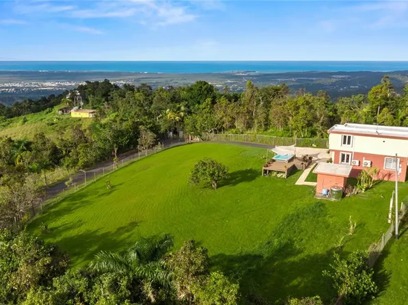 Carr 960 Km 17.6 Boguzman Arriba, Rio Grande, PR 00745