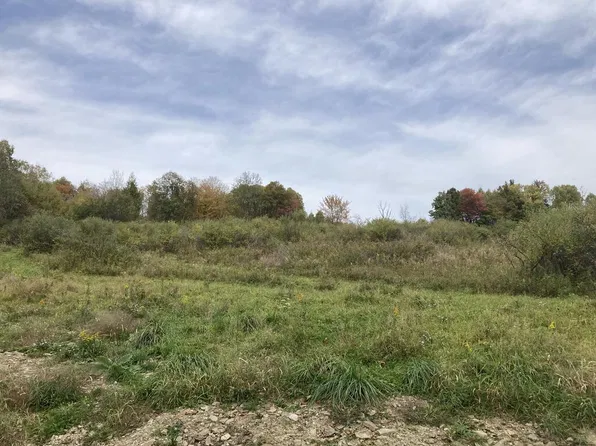 0 Locey Creek Rd, Middlebury Center, PA 16935