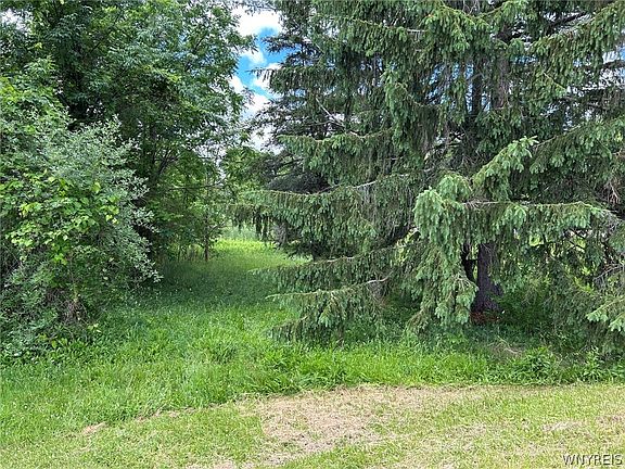 3rd image of 5131 State Route 21 Lot 69