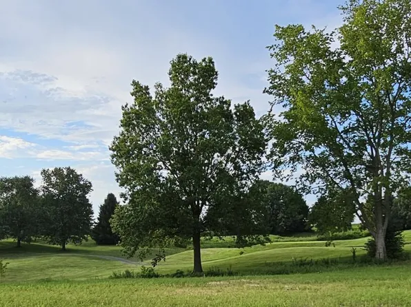 Lot 24 Highland Spring/Vintage Pointe, Springfield, MO 65809