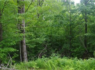 Blueberry Ln, Lempster, NH 03605