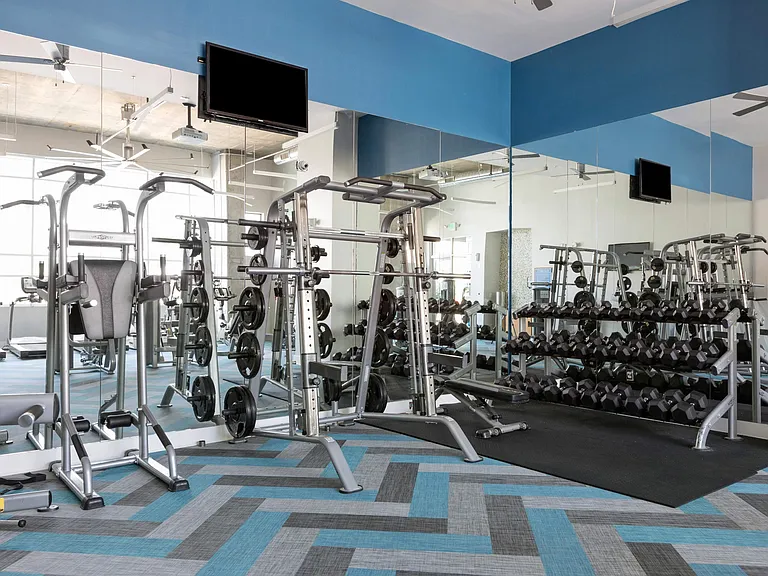 Strength Training Equipment
