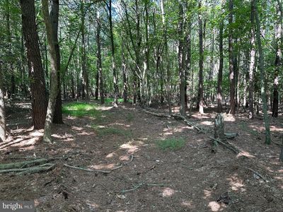 Rhodesdale Vienna Rd, Vienna, MD, 21869