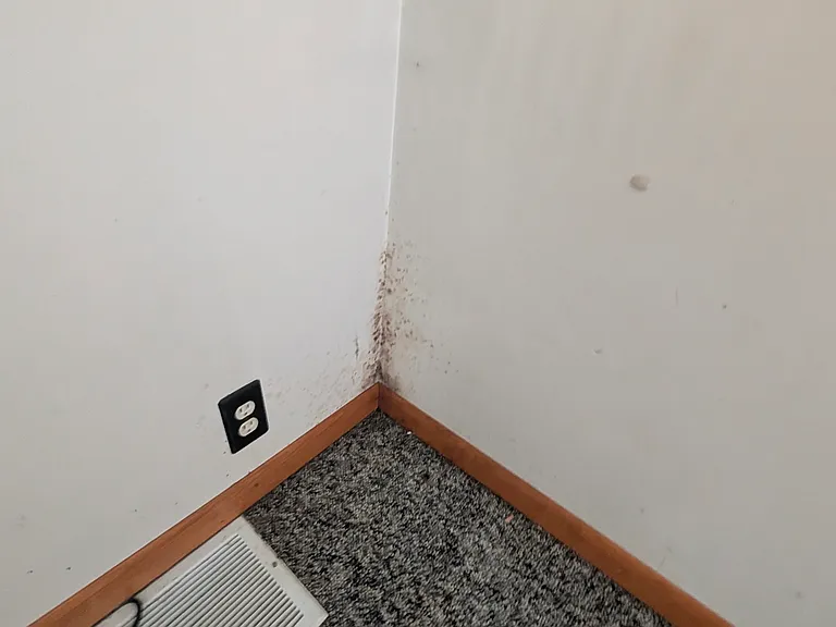 1108 E Arcadia Ave — Photo 36