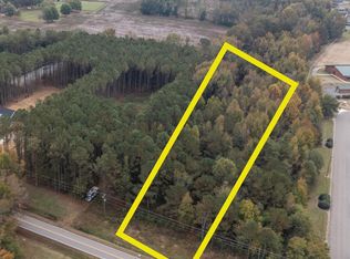 140 Dogeye Rd #2, Benson, NC 27504