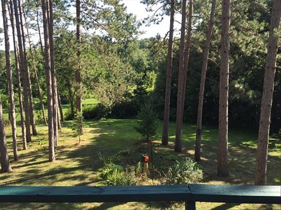 View from Deck