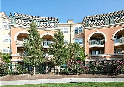 1 bed, 917 sqft, $3,000 — Photo 2