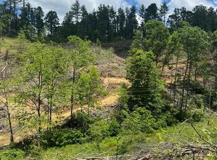 0 Roses Branch Rd, Bakersville, NC 28705