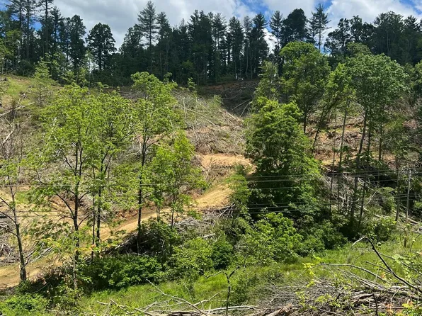 0 Roses Branch Rd, Bakersville, NC 28705