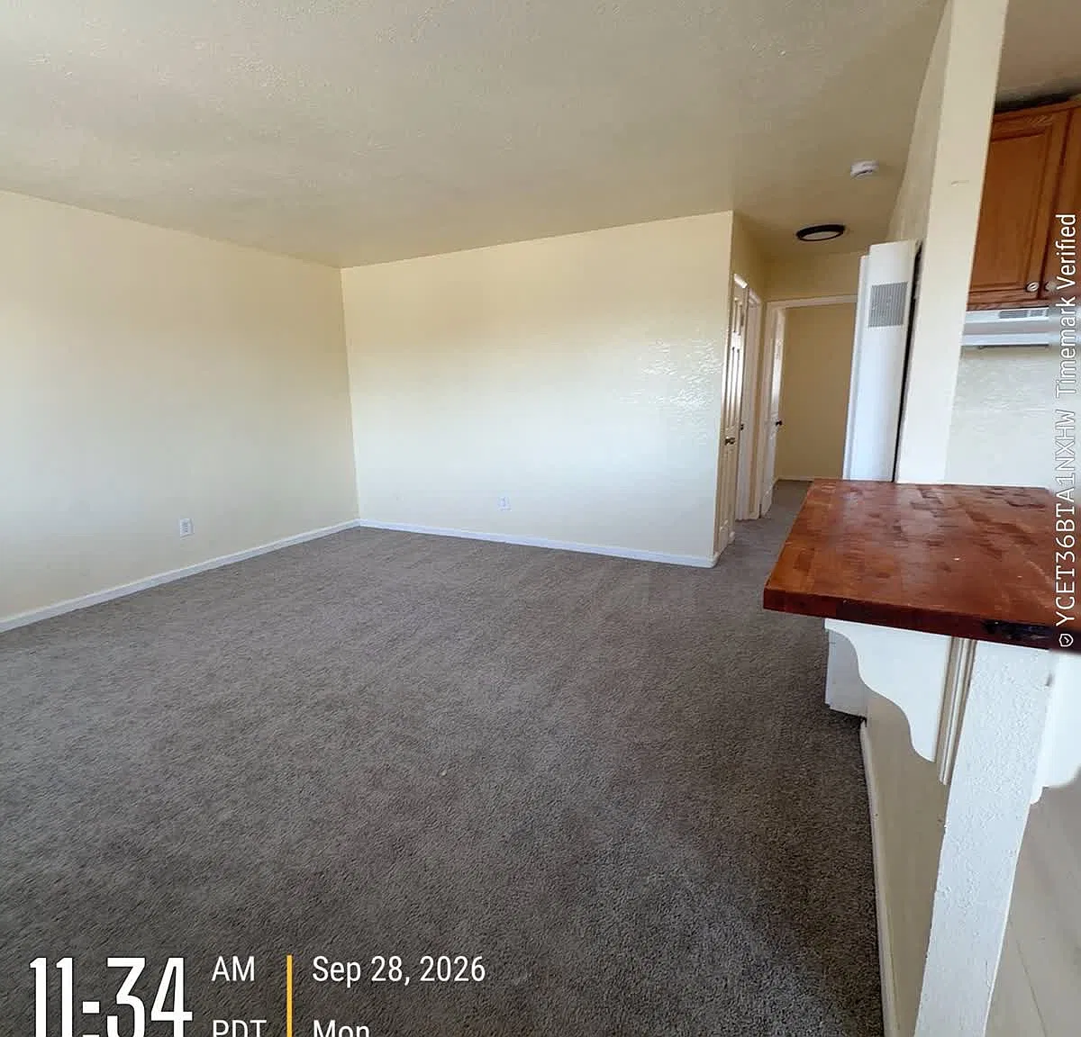 2 bed, $1,095 — Photo 3