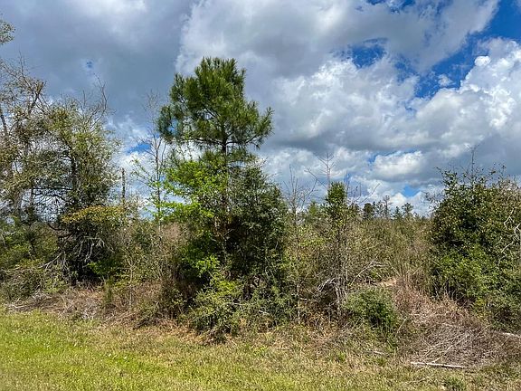 3rd image of 1 Fm 2827 Rd