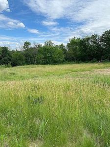 Shady Brook Ln, Pella, IA, 50219