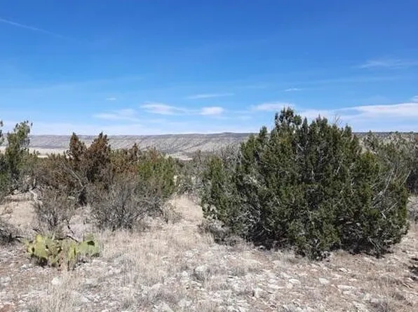 29118 W Stagecoach Ln, Seligman, AZ 86337