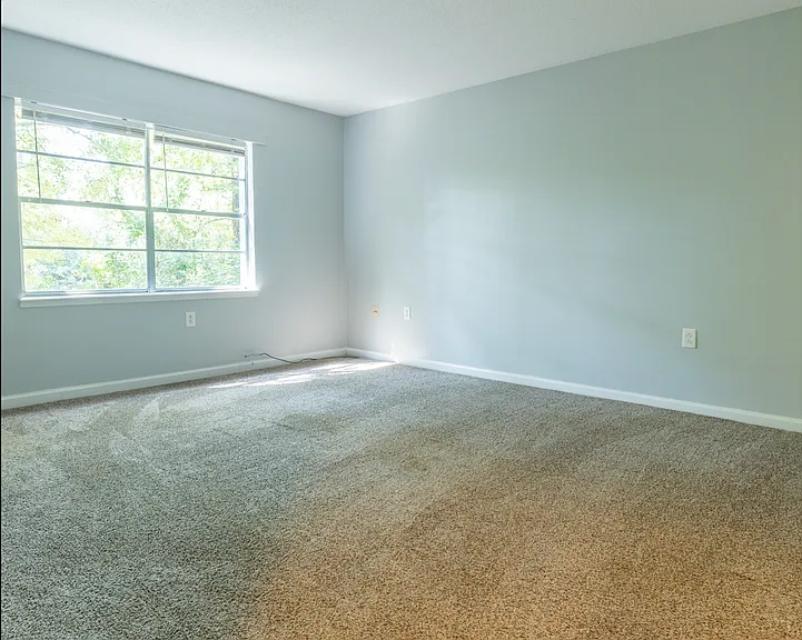 Palmetto Place Apartments — Photo 23