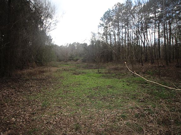 5th image of 8284 Highway 28