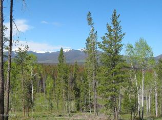 246 County Road 8031 LOT 1, Fraser, CO 80442