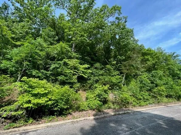 Lot 29 Hill Haven Road, Hollister, MO 65672