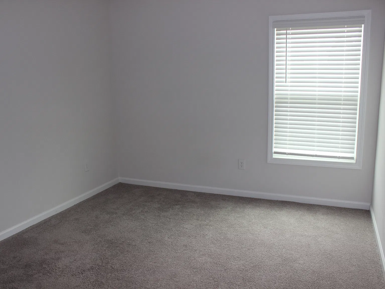15 Apricot Lane - 1 — Photo 3