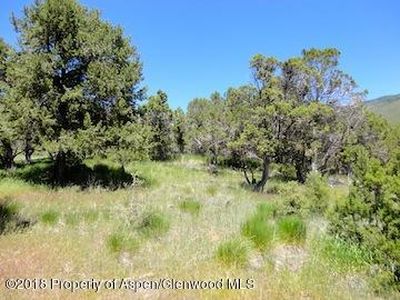 705 Vista Hi Dr, El Jebel, CO, 81623