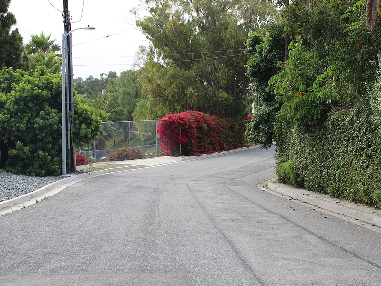 beautiful street view