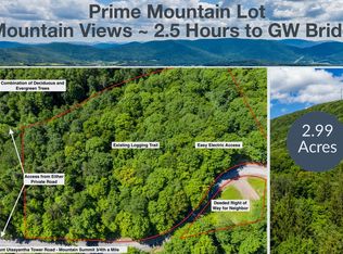 Mount Utsayantha Tower Rd, Stamford, NY 12167