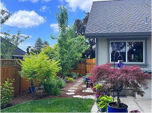 Landscaping SW Side & Fence 
