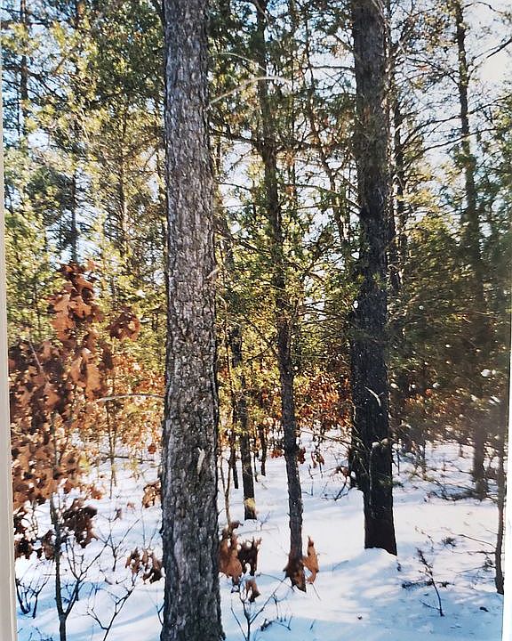 2nd image of Bitters Ln