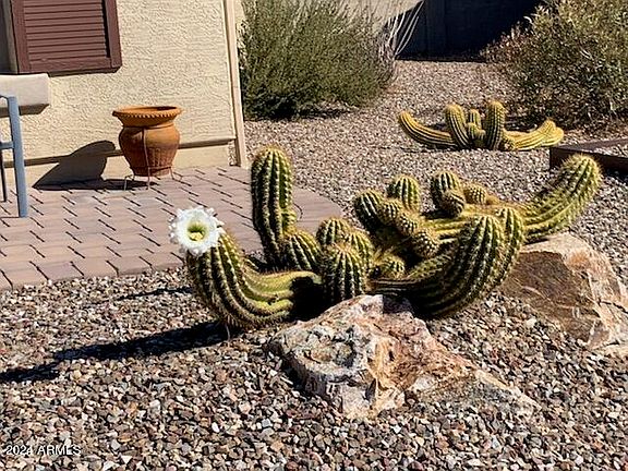 4th image of 4814 W LOMA VERDE Avenue