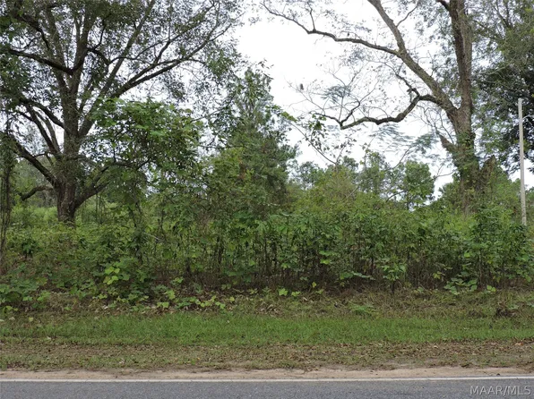 0 S Mount Zion Rd, Greenville, AL 36037