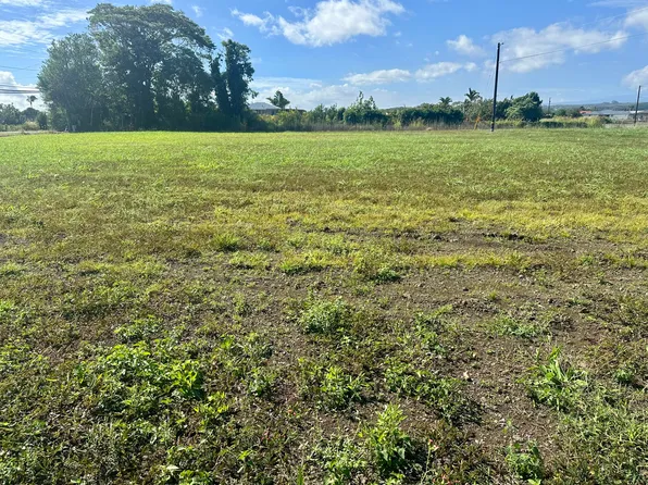 913 Hoolala St Lot 21, Hilo, HI 96720