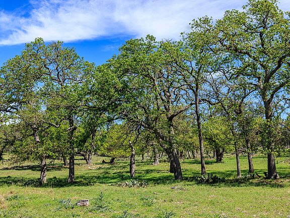 5th image of 215 Dally