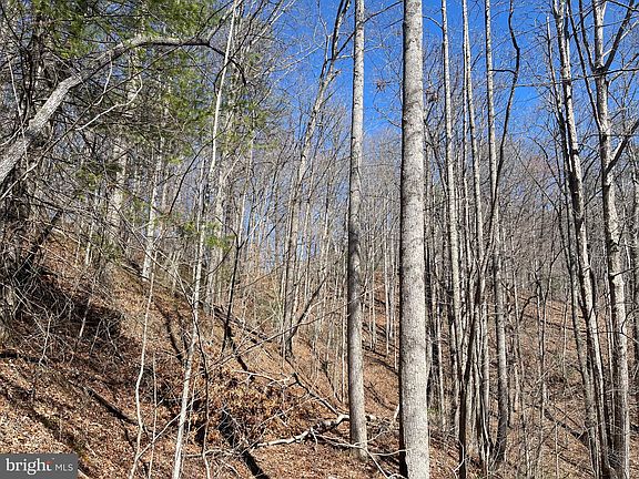 4th image of 0 Bear Cove Rd