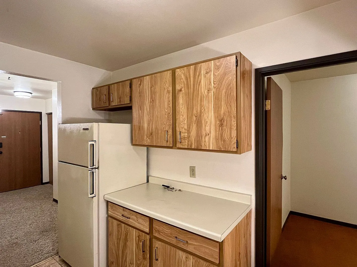 1703 Sawyer Dr — Photo 2