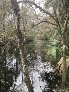 275 S Tuck Point, Inverness, FL, 34450