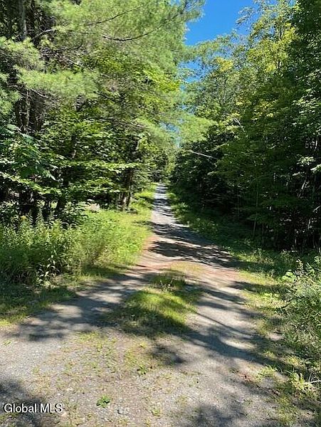 2nd image of L 11 Horse Hill Rd. Rear Road