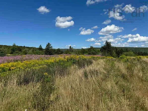 5907 Highway 395, South West Margaree, NS B0E 3H0