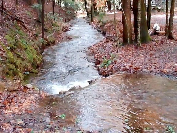4th image of 5001 Mill Creek Road