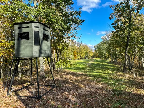 0 Ledbetter Hollow Rd Lot 2, Linden, TN 37096