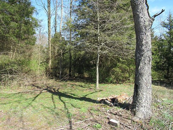 5th image of 10735 Rolling Acres Dr