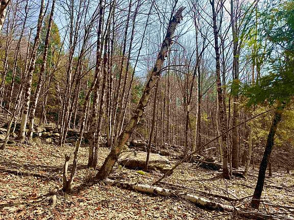 2nd image of 0 Green Mountain Turnpike #5