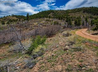 221 Cottonwood Dr, Cotopaxi, CO