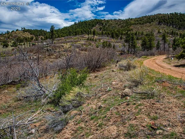 221 Cottonwood Dr, Cotopaxi, CO 81223