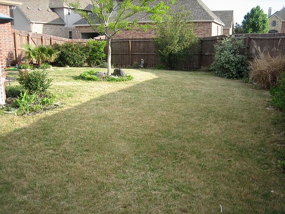 Large Feced in Backyard