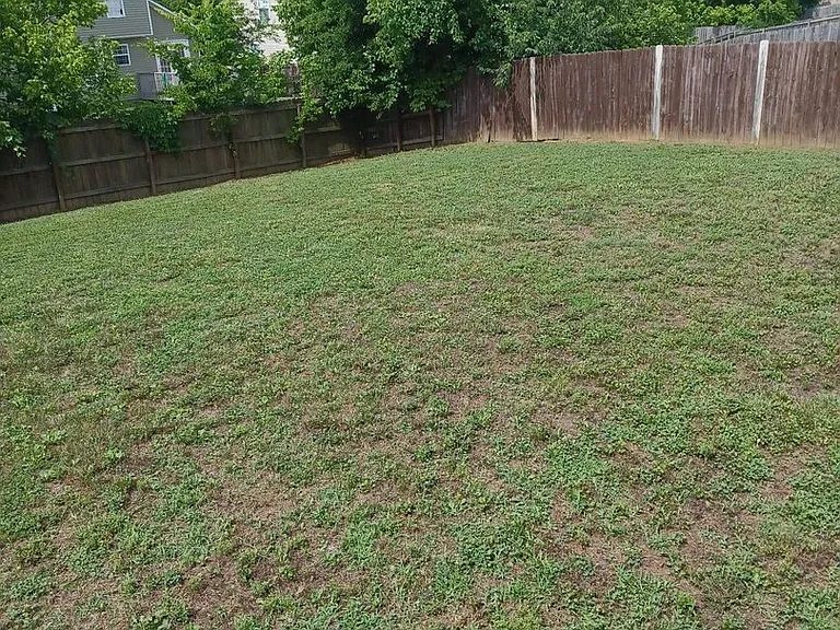 1486 Cobra Ln — Photo 12
