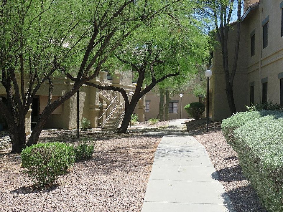 Lush desert walkway