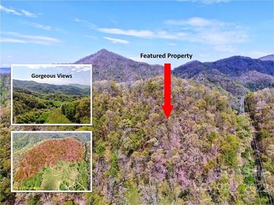 0 Silvers Cove Rd, Clyde, NC, 28721