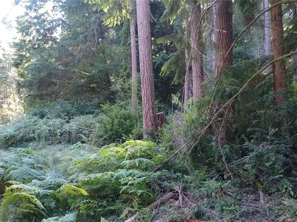 12106 Sound Drive, Anderson Island, WA 98303