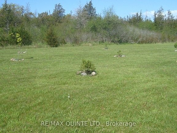 3rd image of 159 Simpson Rd