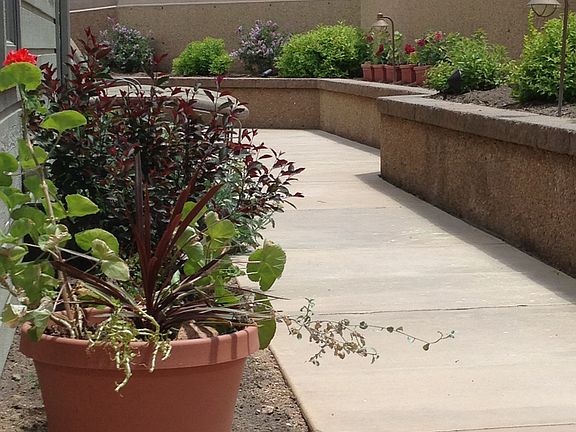 terraced garden area