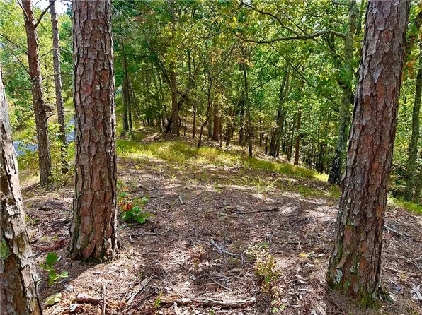 222 Stirratt Rd, Ranger, GA 30734